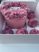 Bento Cake & Cupcakes